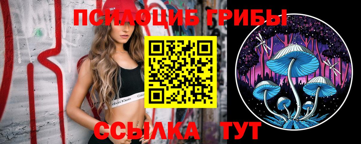 Псилоцибиновые грибы ЛСД Ялуторовск
